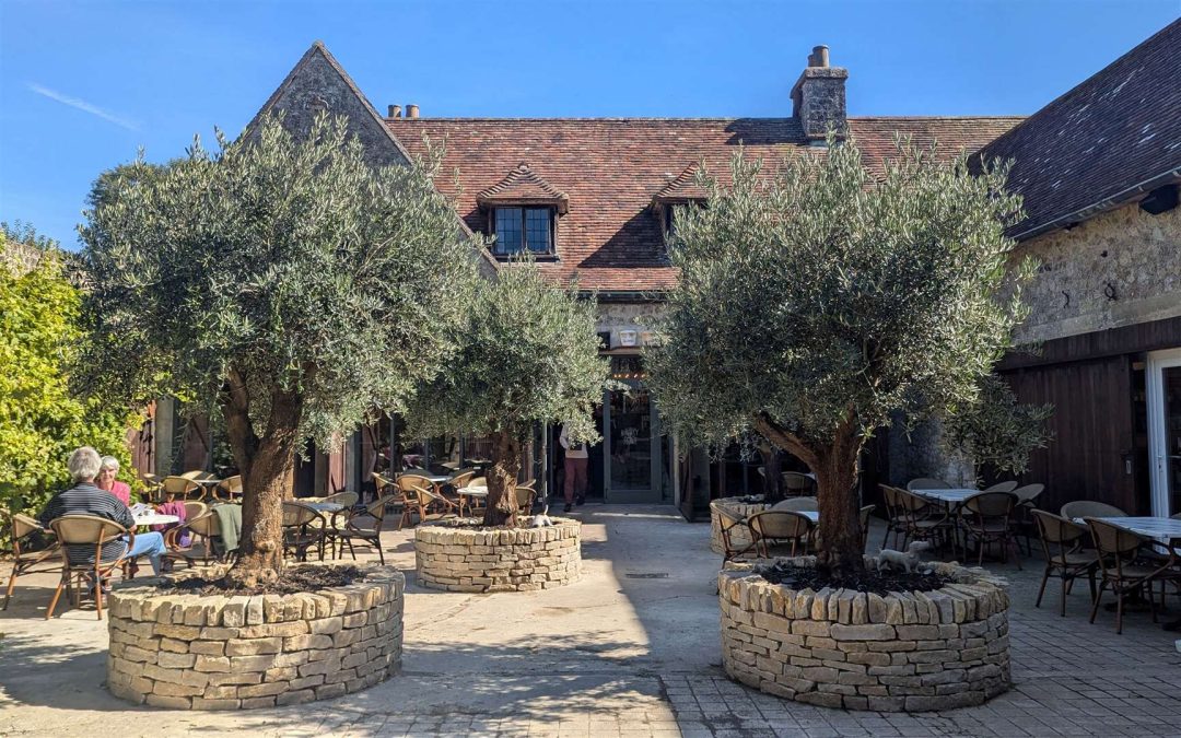Bistro Restaurant Kitchen Design: The Naughty Dog, Lympne